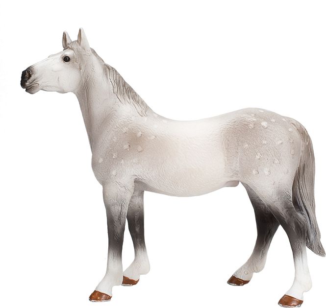 Hovedbilde Animal Planet - Hest