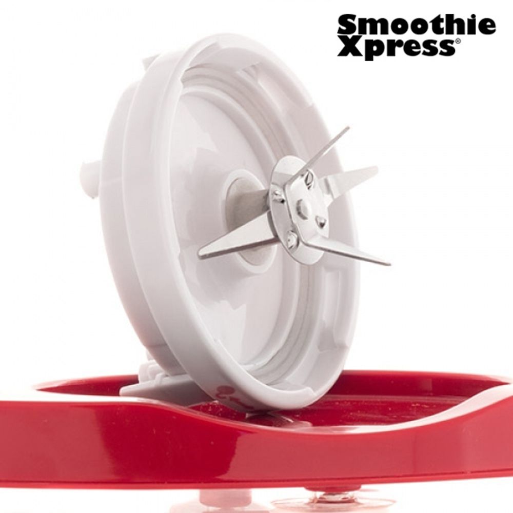 Smoothie Xpress mikser blender