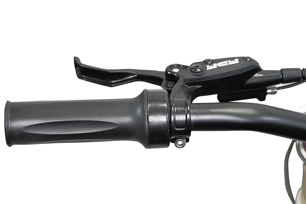 Tiger eco dlx el-dirtbike 1300w 14