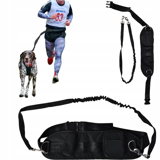 Hovedbilde Hundebelte for handsfree gåing og løping - justerbart